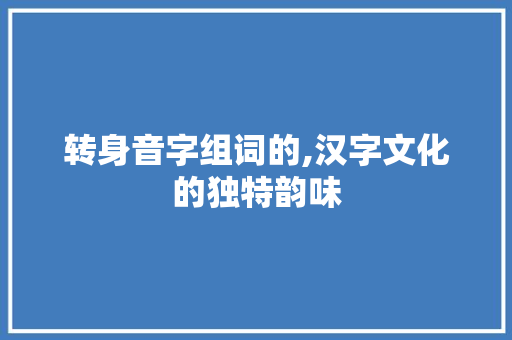 转身音字组词的,汉字文化的独特韵味