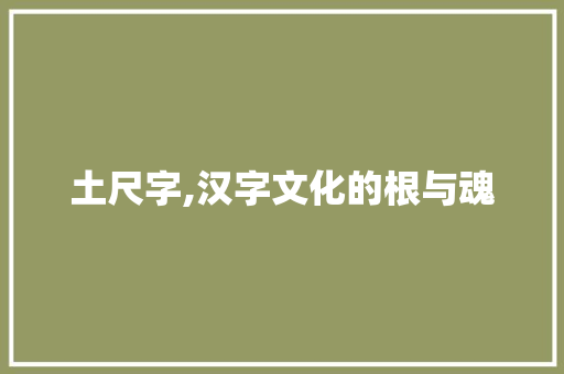 土尺字,汉字文化的根与魂