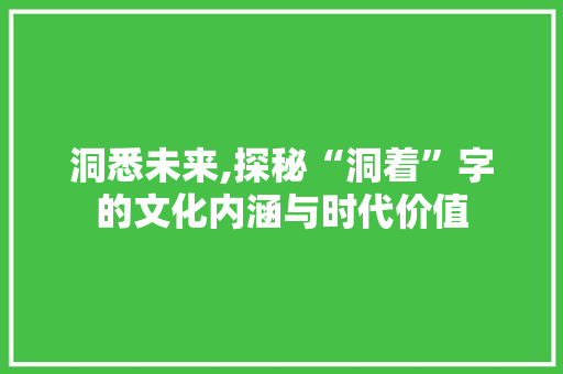 洞悉未来,探秘“洞着”字的文化内涵与时代价值