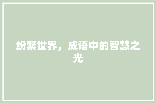 纷繁世界，成语中的智慧之光