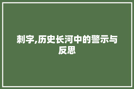 刺字,历史长河中的警示与反思