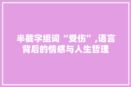 半截字组词“受伤”,语言背后的情感与人生哲理 职场应用