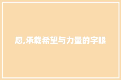 愿,承载希望与力量的字眼