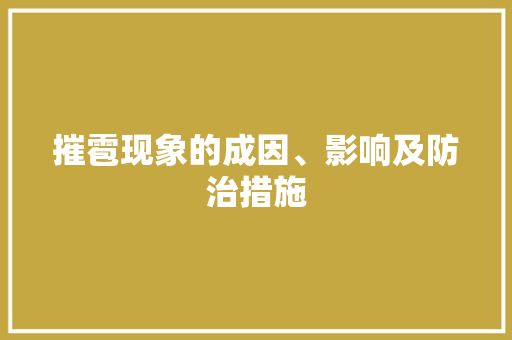 摧雹现象的成因、影响及防治措施 职场应用