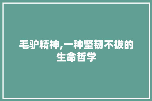 毛驴精神,一种坚韧不拔的生命哲学