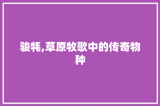 骏牦,草原牧歌中的传奇物种