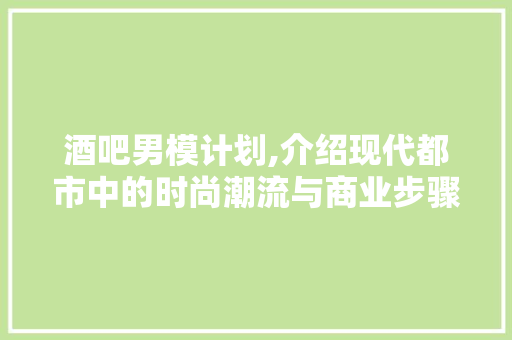 酒吧男模计划,介绍现代都市中的时尚潮流与商业步骤 合同协议