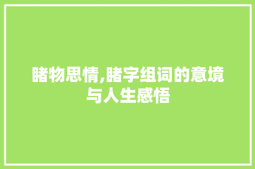 睹物思情,睹字组词的意境与人生感悟