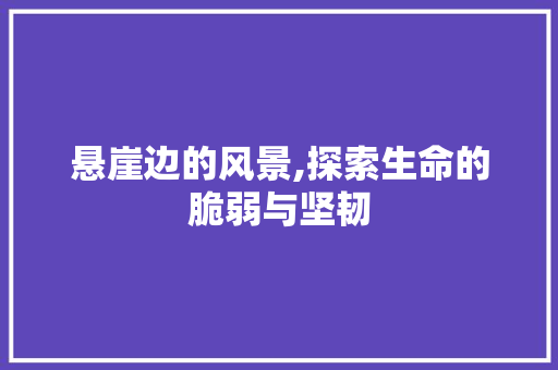 悬崖边的风景,探索生命的脆弱与坚韧 范文精选网