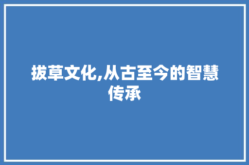 拔草文化,从古至今的智慧传承