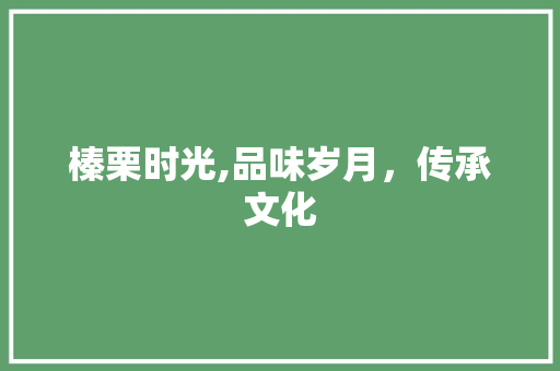 榛栗时光,品味岁月，传承文化