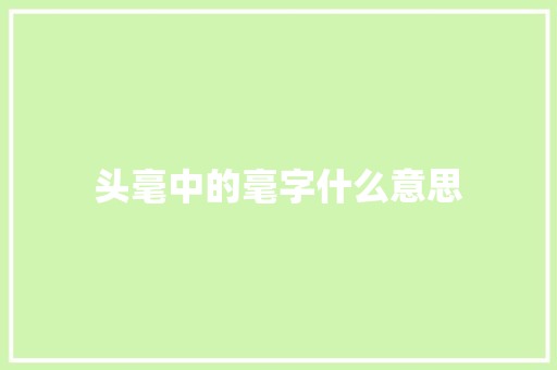头毫中的毫字什么意思 范文宝典