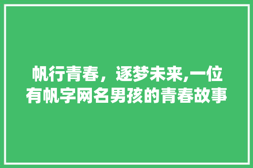 帆行青春，逐梦未来,一位有帆字网名男孩的青春故事_带帆字的有意思网名男孩 商业计划书范文