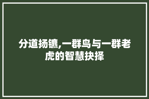 分道扬镳,一群鸟与一群老虎的智慧抉择