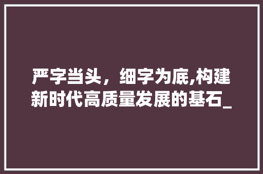 严字当头，细字为底,构建新时代高质量发展的基石_严字当头细字为底的意思
