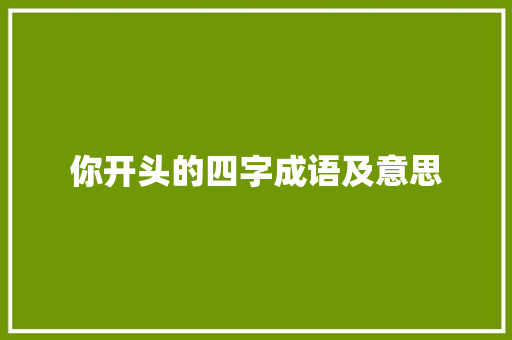 你开头的四字成语及意思