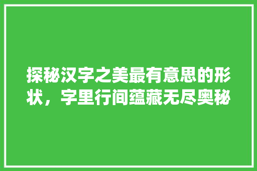 探秘汉字之美最有意思的形状，字里行间蕴藏无尽奥秘_最有意思的形状有哪些字 职场应用