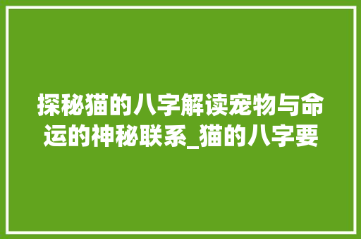 探秘猫的八字解读宠物与命运的神秘联系_猫的八字要什么意思