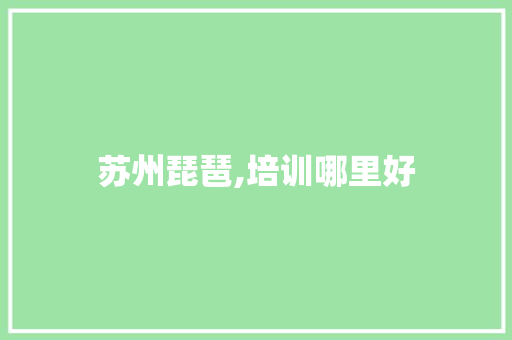 苏州琵琶,培训哪里好 范文资源