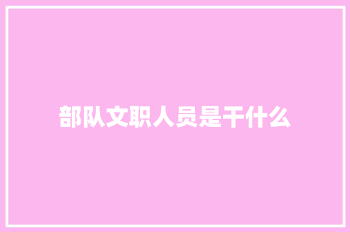部队文职人员是干什么