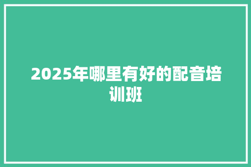 2025年哪里有好的配音培训班