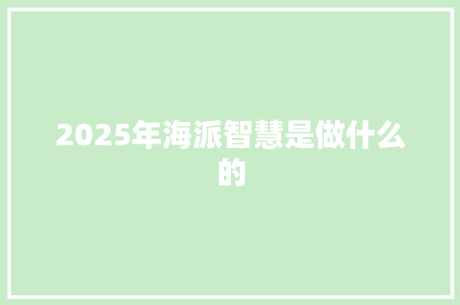 2025年海派智慧是做什么的