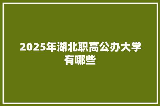 2025年湖北职高公办大学有哪些 职场应用