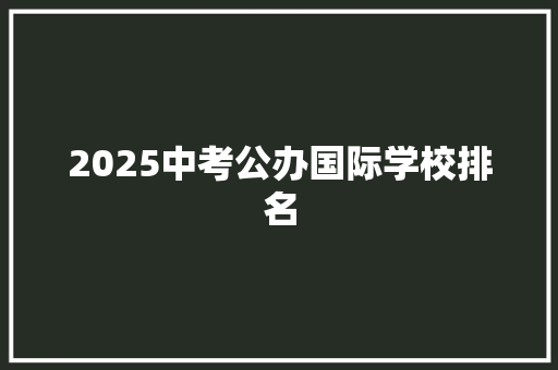 2025中考公办国际学校排名