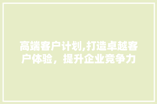 高端客户计划,打造卓越客户体验，提升企业竞争力