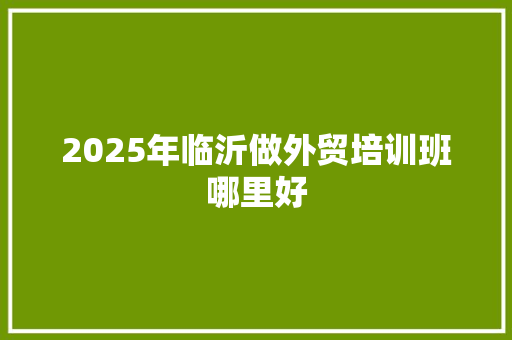 2025年临沂做外贸培训班哪里好