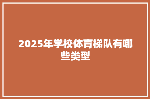 2025年学校体育梯队有哪些类型 范文宝典