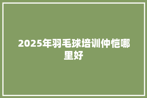 2025年羽毛球培训仲恺哪里好