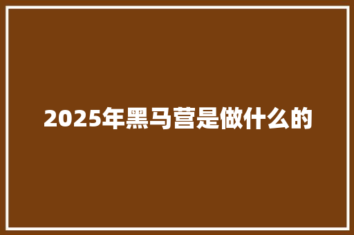 2025年黑马营是做什么的