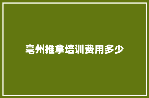 亳州推拿培训费用多少 商业计划书范文