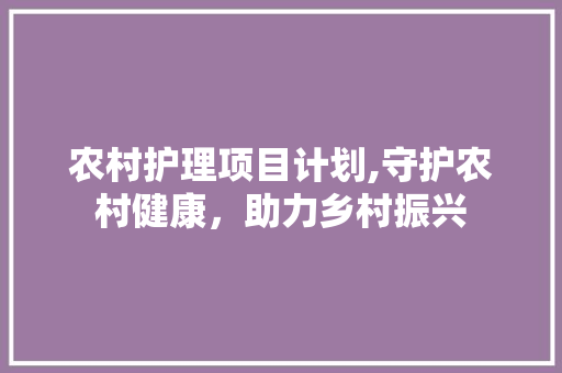 农村护理项目计划,守护农村健康，助力乡村振兴 商业计划书范文