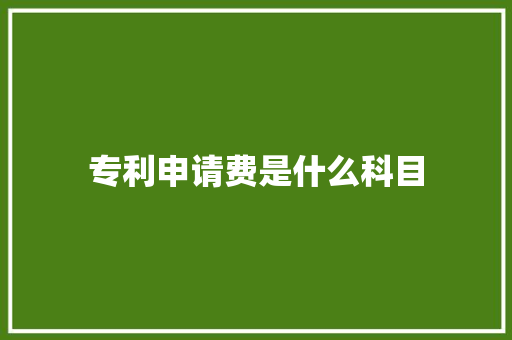 专利申请费是什么科目
