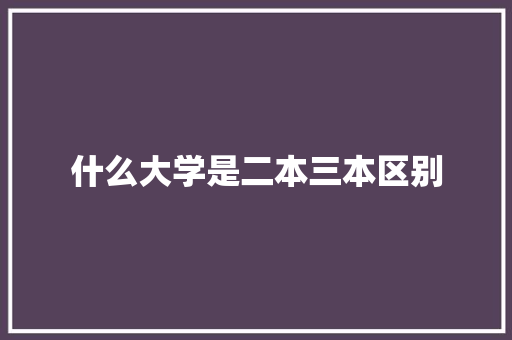 什么大学是二本三本区别 范文参考
