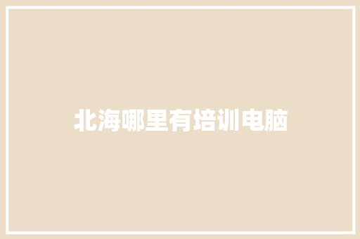 北海哪里有培训电脑