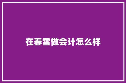 在春雪做会计怎么样 优秀范文
