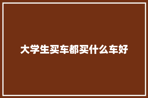 大学生买车都买什么车好 优秀范文