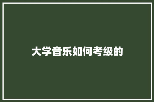 大学音乐如何考级的 范文资源