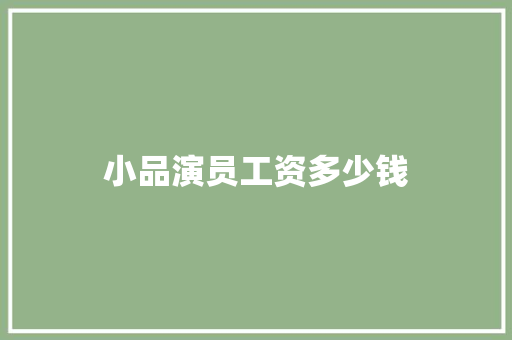 小品演员工资多少钱 商业计划书范文