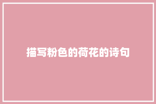 描写粉色的荷花的诗句