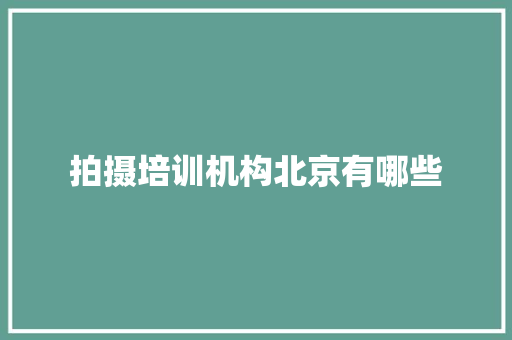 拍摄培训机构北京有哪些 范文宝典
