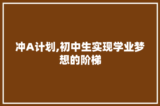 冲A计划,初中生实现学业梦想的阶梯