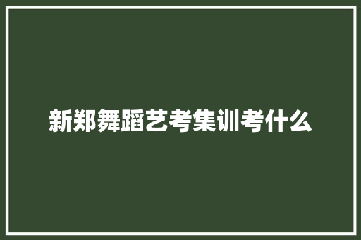 新郑舞蹈艺考集训考什么