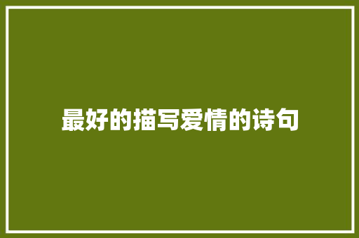 最好的描写爱情的诗句