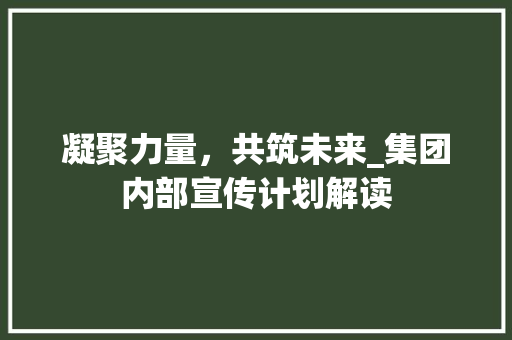 凝聚力量，共筑未来_集团内部宣传计划解读 范文资源