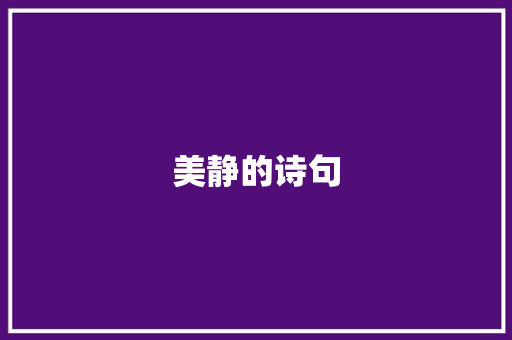 美静的诗句 商业计划书范文