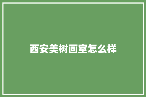 西安美树画室怎么样 合同协议